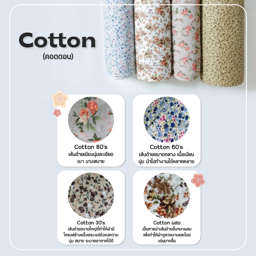 Cotton Cotton